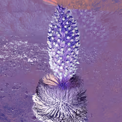 Silversword #8
