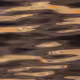 5558274991917910118295398581952217746149632025073960177395531460643234250753