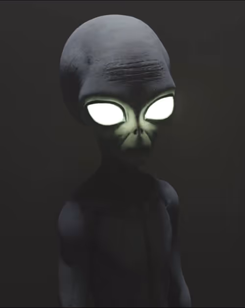 Item #36302034222467922746426472119864751497722263539871300527175007339302447218788 Media