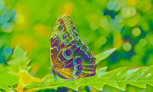 Item #49174666910166564779922856925235532419926271386136280699772621410464824295425 Media