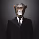 Monkey in suit