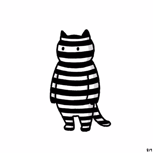 White Cat 3