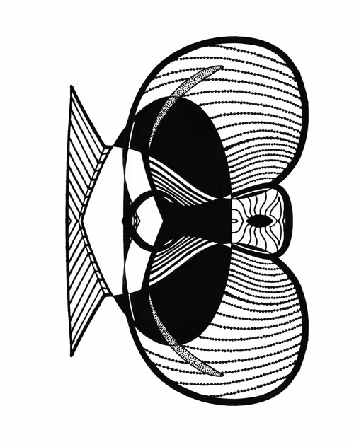 Item #55910033793432811292494718472823426020792169771492944896856205222560216907777 Media