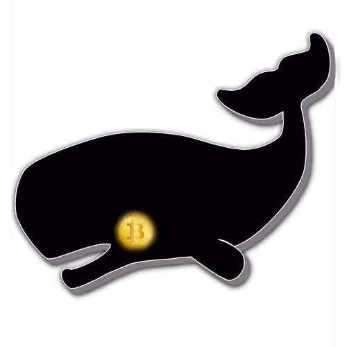 Speedevswhale Collection Mb5eLddyTp