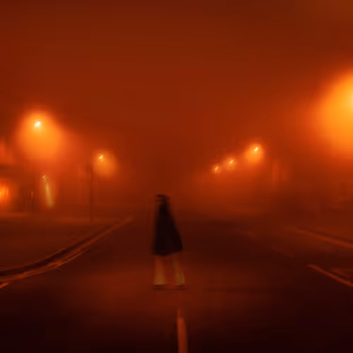 The Noise World