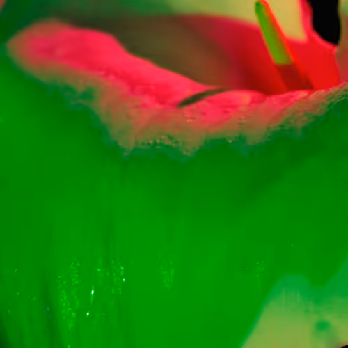 Flowerfarmnft