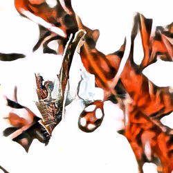 81269833061274051173789884418282317830923519221172308843662164502161794269185