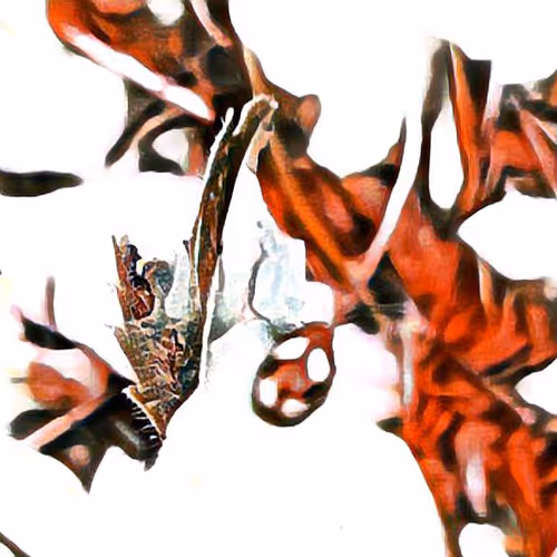 81269833061274051173789884418282317830923519221172308843662164502161794269185