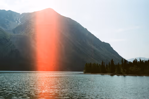 Item #47263427192164652085491385206447928327425179185590361106857945446793540009985 Media