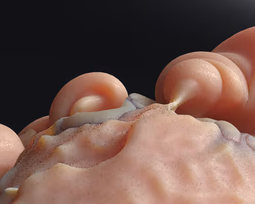 87858548873057691610145785827924316116903784724900626045837508991511588503553