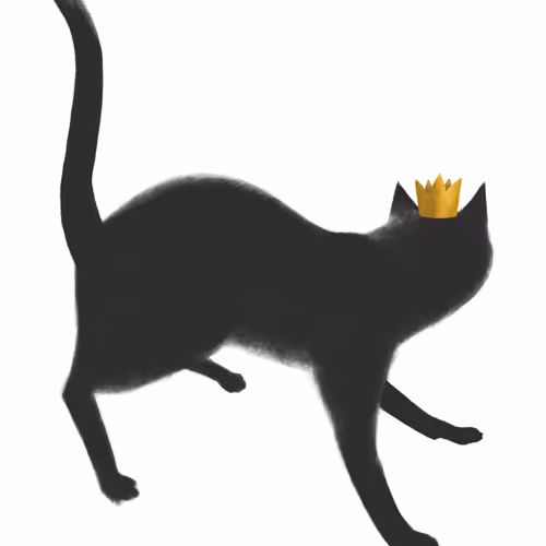 24618594739772325081071012251968077253983773594612099830659053223878638698499