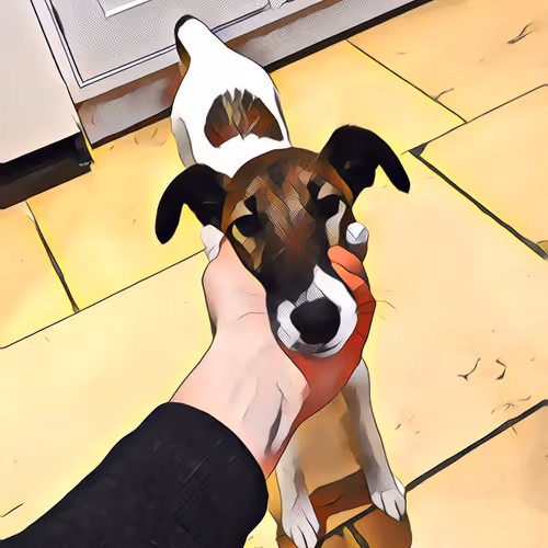 Item #108767824984107427306239065059911638745749785478323690674921709026689534656513 Media