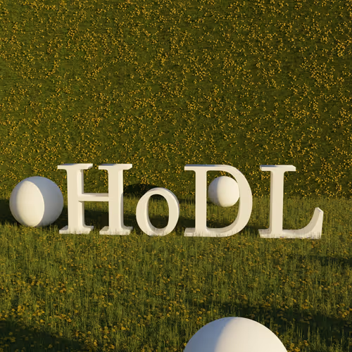HODL 101
