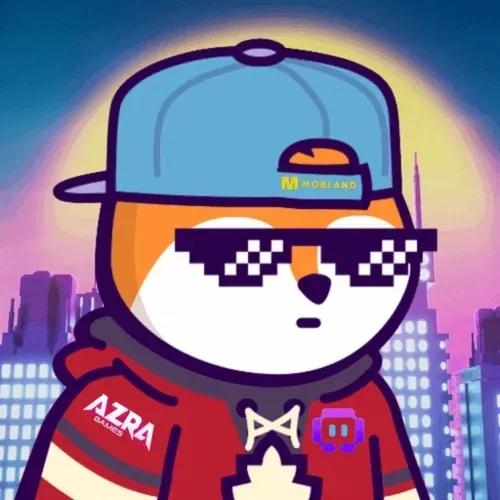 Untitled Collection #208054480