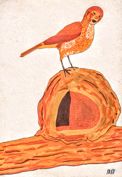 Item #68668679460733179751995579046996266075263869281073028949934511795909345411074 Media