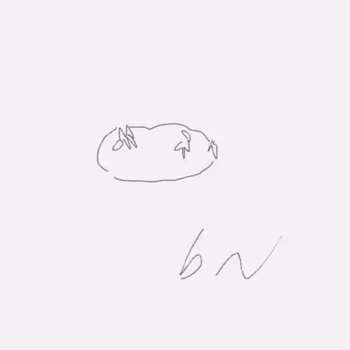 BonobuCaudexPlants Collection - old