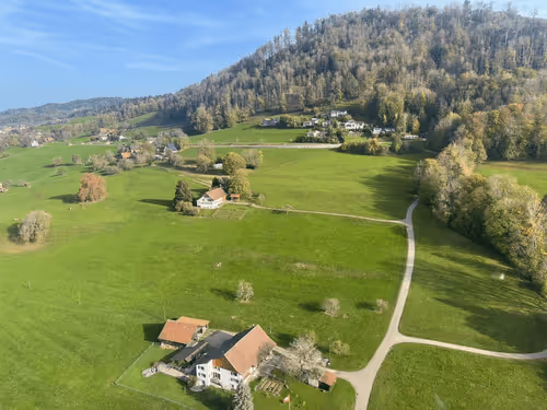 Item #13968726059347532090623550307795009463851395019365410599953871104917243004576 Media