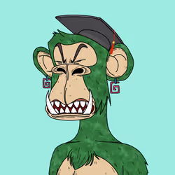 79588557743407667960402486480794634390471185787199035383125779362004267433985