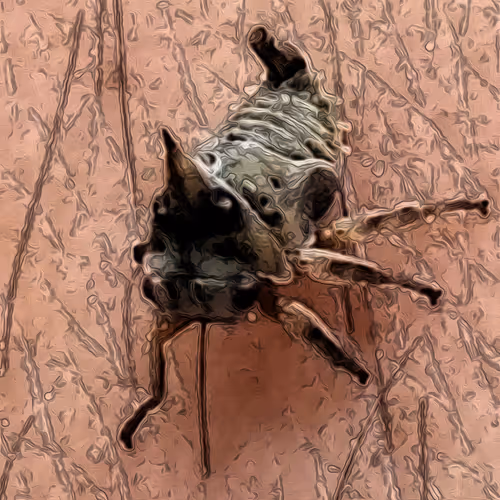 49349444770609105686801470716655642132398722781916722844497336678185416261633