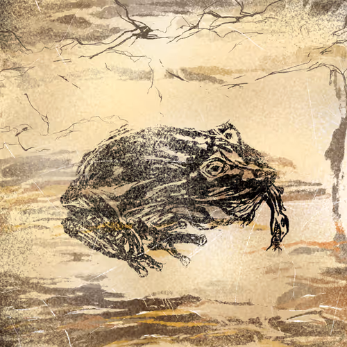 Item #42505435092464023240037635020667615408483052619425791248914544087738349518849 Media