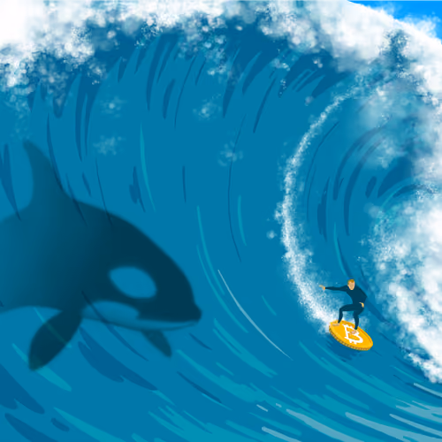 BitSurf