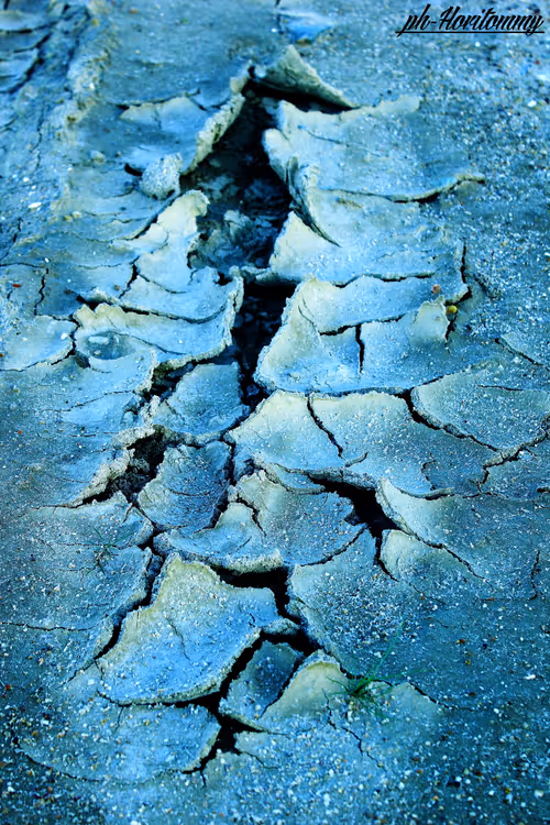 Item #106724480225674234207905183148312565268453477857390453009567810396942971699201 Media