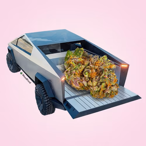 Item #276618171581163995688451181711762959038558310937804576463711697723524644865 Media