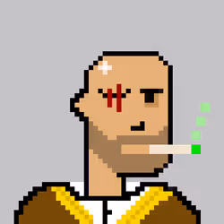 62596839378012412367804578734326697289221851378866794523208509201751344152577