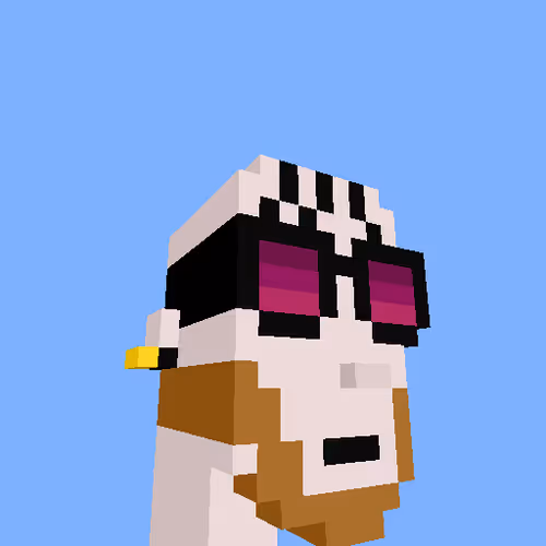 PunkVoxels #3217