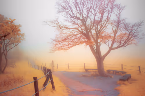 Item #51038767389134457626930617169090287934471579480777975785156342710747801845761 Media