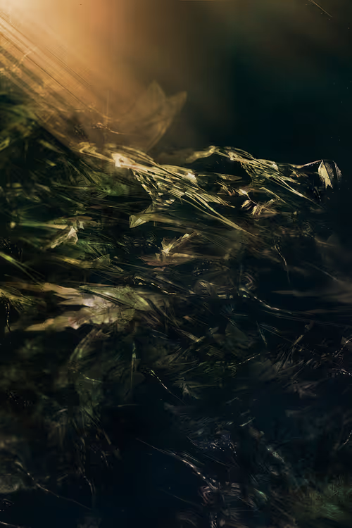 Item #15432038111942005096374453321413086468859637268057786236247055365131852578817 Media