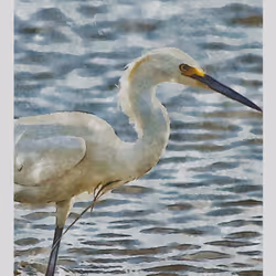 55704534837685659622621715309832868758345944585427688586690141435555064315905