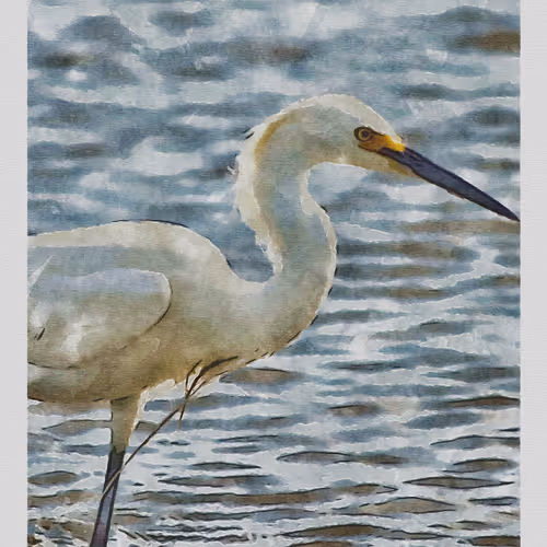 55704534837685659622621715309832868758345944585427688586690141435555064315905