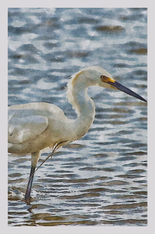 Item #55704534837685659622621715309832868758345944585427688586690141435555064315905 Media