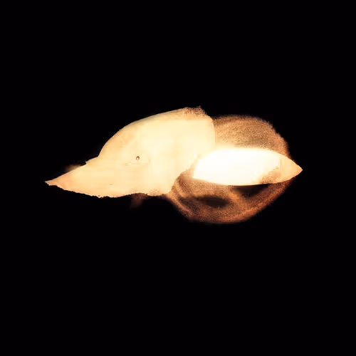 Item #108253621589995448517614068934439691995623298195803078876371819409499119157249 Media