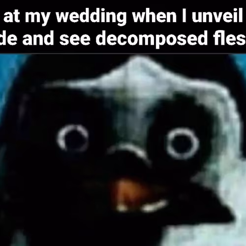 Dylan.jpg