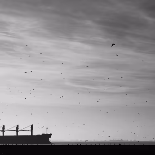 Black White Journey