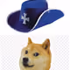 37977569140924166436524806821499280126635294361522932717373763395583760924673
