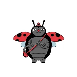 156. Ladybug