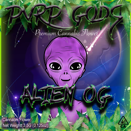 Item #14945606231224078199946966802440326171295025425828752710008100860150543286273 Media