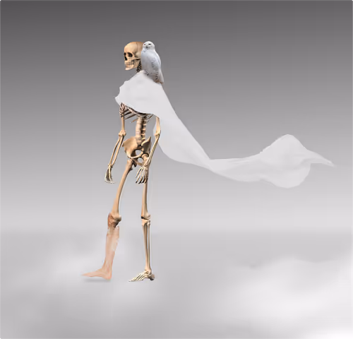 Item #55073779051637887134762349727640873690061700933532184206423611621674626056193 Media