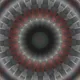 83208657713041131308913028265523739621191499889349620913632724244853185052673