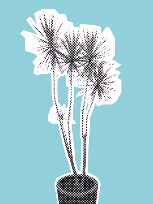 Item #25379124807980713745219244606437574046087384809022650852355167106023353745409 Media