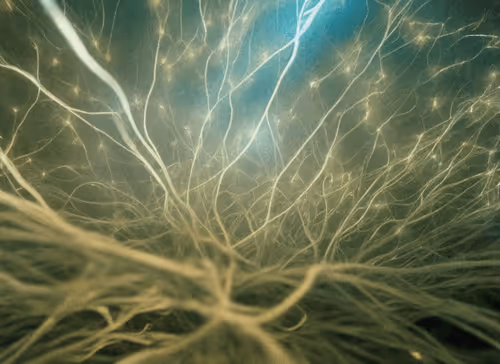 Item #98695163844141812296559601516468632585703412525772017875852753349523321913345 Media