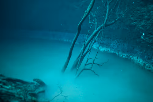 Item #25422583313571458459737529461820134862175223810011730482418987905751327965185 Media