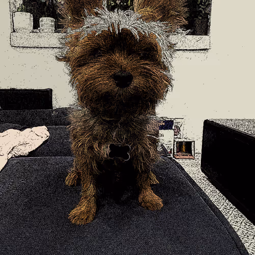 Untitled Collection #73176953