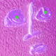 74109019841278876284657385638155482930372999858077272741266971362900444184577