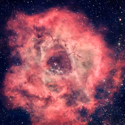 Rosette Hydrogen Alpha
