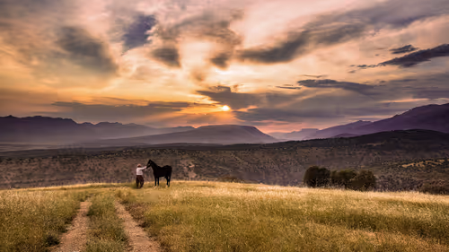 Item #12333759371985289416686528618250941787801478820548931806244366508626437734401 Media