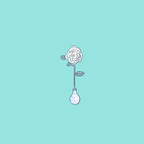 #16 White flower